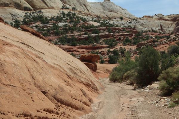 Upper Muley Twist Canyon
