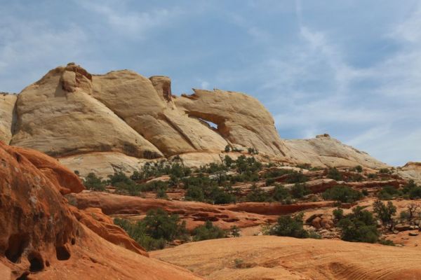 Upper Muley Twist Canyon
