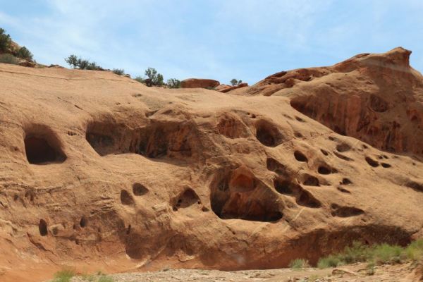 Upper Muley Twist Canyon

