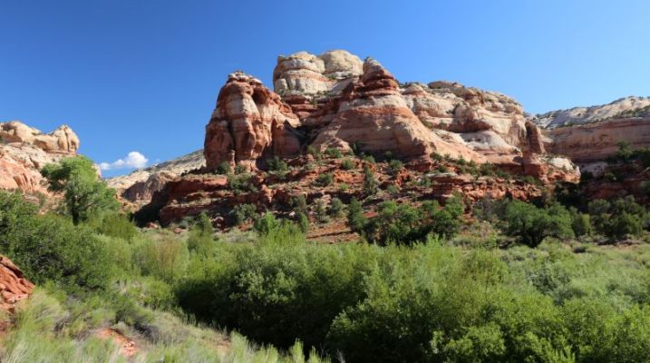 Lower Calf Creek Falls
