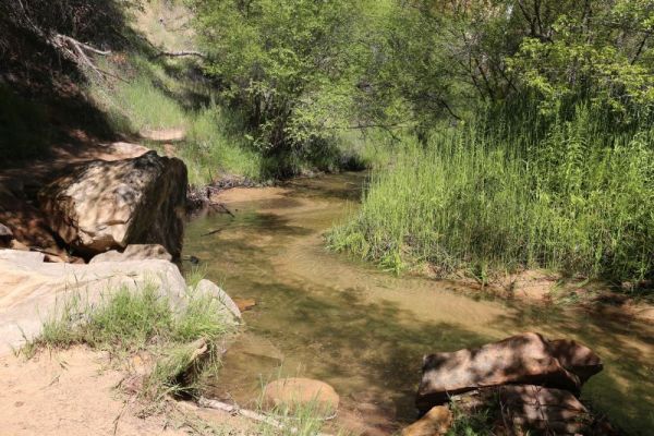 Lower Calf Creek Falls
