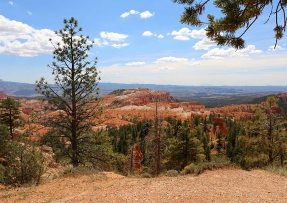 Bryce Canyon N.P.

