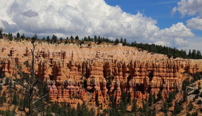Bryce Canyon N.P.
