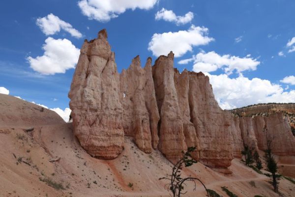 Bryce Canyon N.P.
