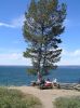 picnic at yellowstone lake