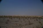 D_V__Sand_DunesDSC02812.jpg