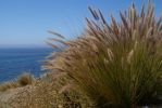 Hwy 1 - Morro Bay - L.A.