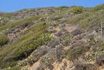 Hwy 1 - Santa Monica Mountains