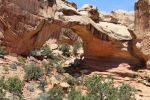 IMG_3168B.jpg