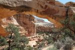 Capitol Reef N.P.