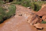 Capitol Reef N.P.