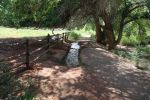 Capitol Reef N.P.