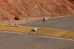 Burr Trail