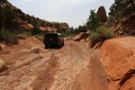 Upper Muley Twist Canyon