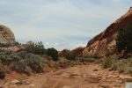 Upper Muley Twist Canyon