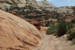 Upper Muley Twist Canyon