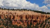 Bryce Canyon N.P.