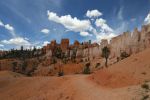 Bryce Canyon N.P.