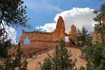 Bryce Canyon N.P.