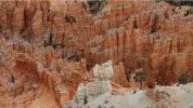 Bryce Canyon N.P.