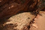 Canyon de Chelly N.M.