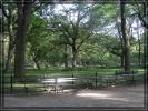 P8270204_CP_the_mallNYC2008.jpg