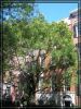 P8310086_greenwichNYC2008.jpg