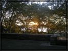 Upper West Side