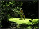 Silence at Strawberry Fields