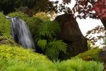 SFO - Japanese Tea Garden