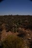 GC Trockenvegetation