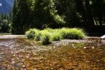 Yosemite im Merced River