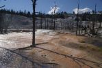 yellowstone - mammoth hot springs
