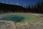 yellowstone_-_norris_geyser_bassinDSC02099.jpg