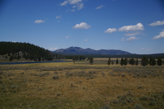 yellowstone - hayden valley
