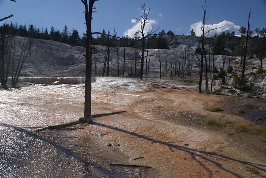 yellowstone - mammoth hot springs
