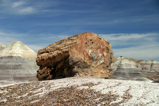 IMG_322web7.jpg