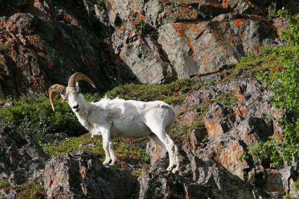foerster-foerster-IMG_6397.jpg