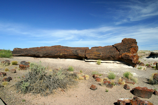 webIMG_3200.jpg