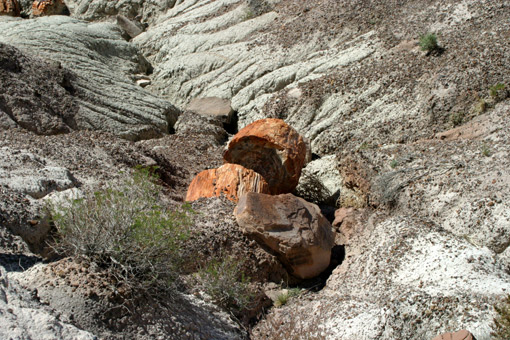 webIMG_3206.jpg