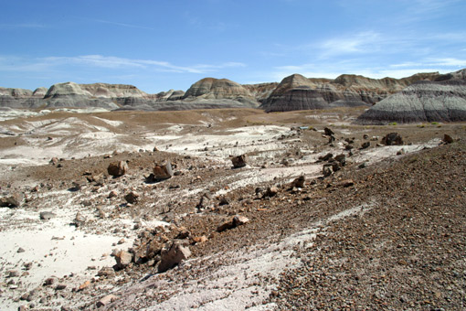 webIMG_3224.jpg