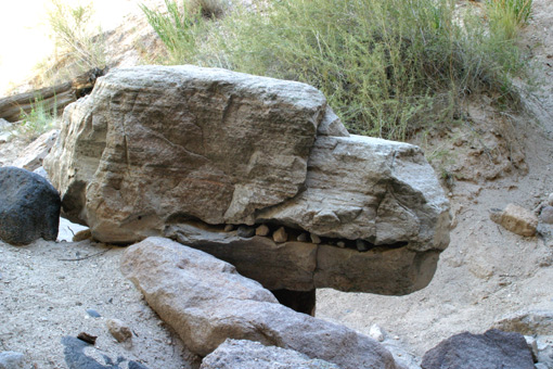 webIMG_3336.jpg