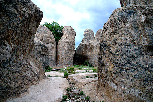 webIMG_3716.jpg