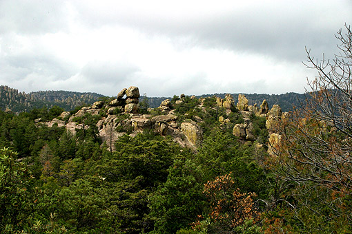 webIMG_3793.jpg