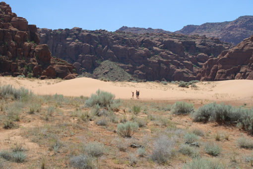 webSnowcanyon1.jpg