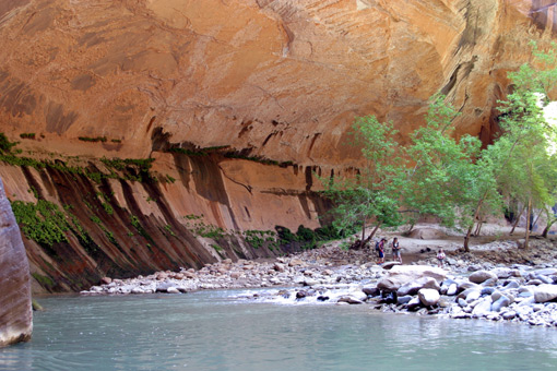 webnarrows4.jpg