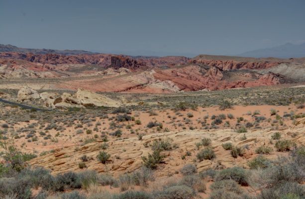 USA_7484_5_6_7_8.jpg