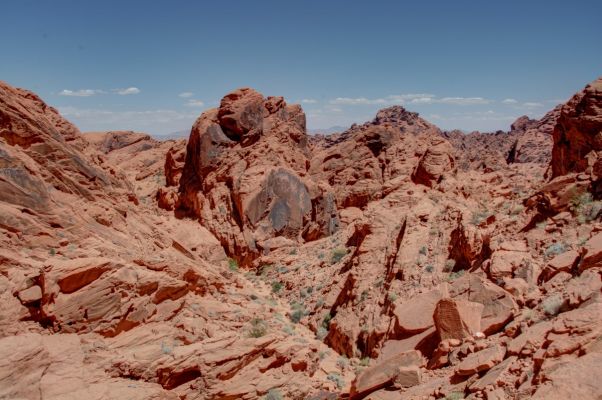 USA_7539_40_41_42_43.jpg