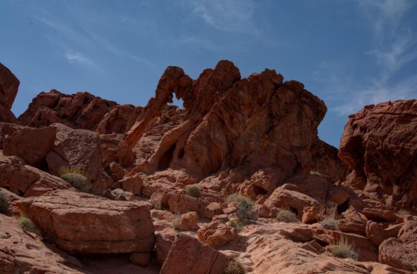 USA_7594_5_6_7_8.jpg