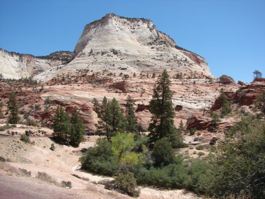 Zion N.P.
Im Zion Nationalpark
